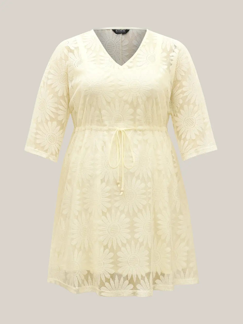 Woven Tied Two-Piece Sheer Midi Dress