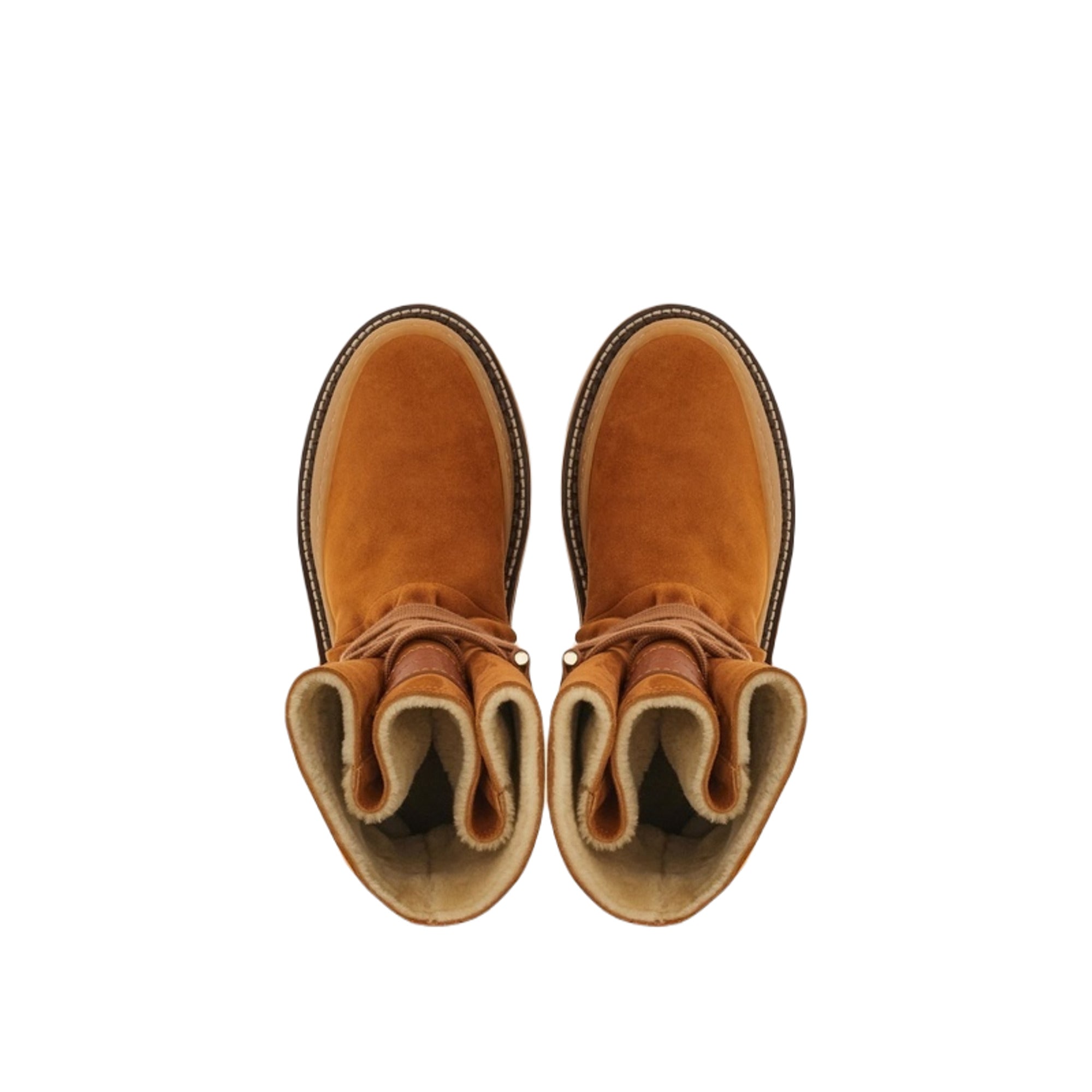 Ferragamo Celeno Women's Boots Brown