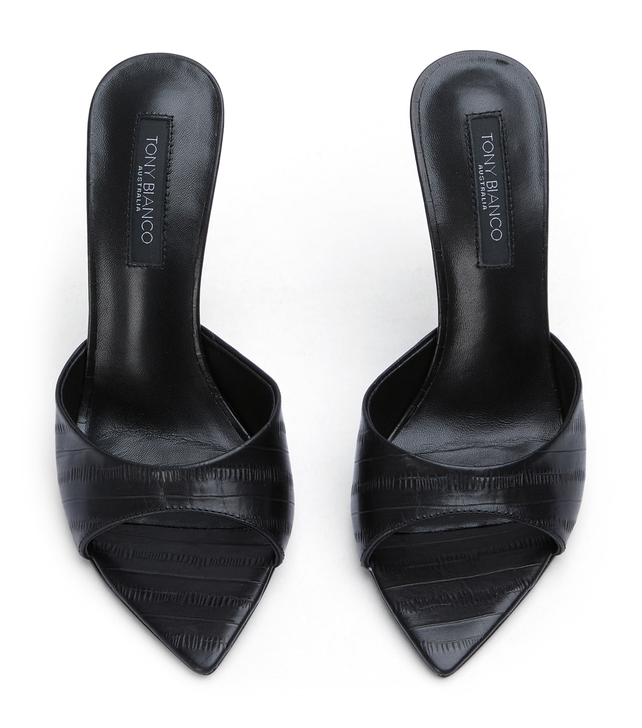Malibu Black Anguille
