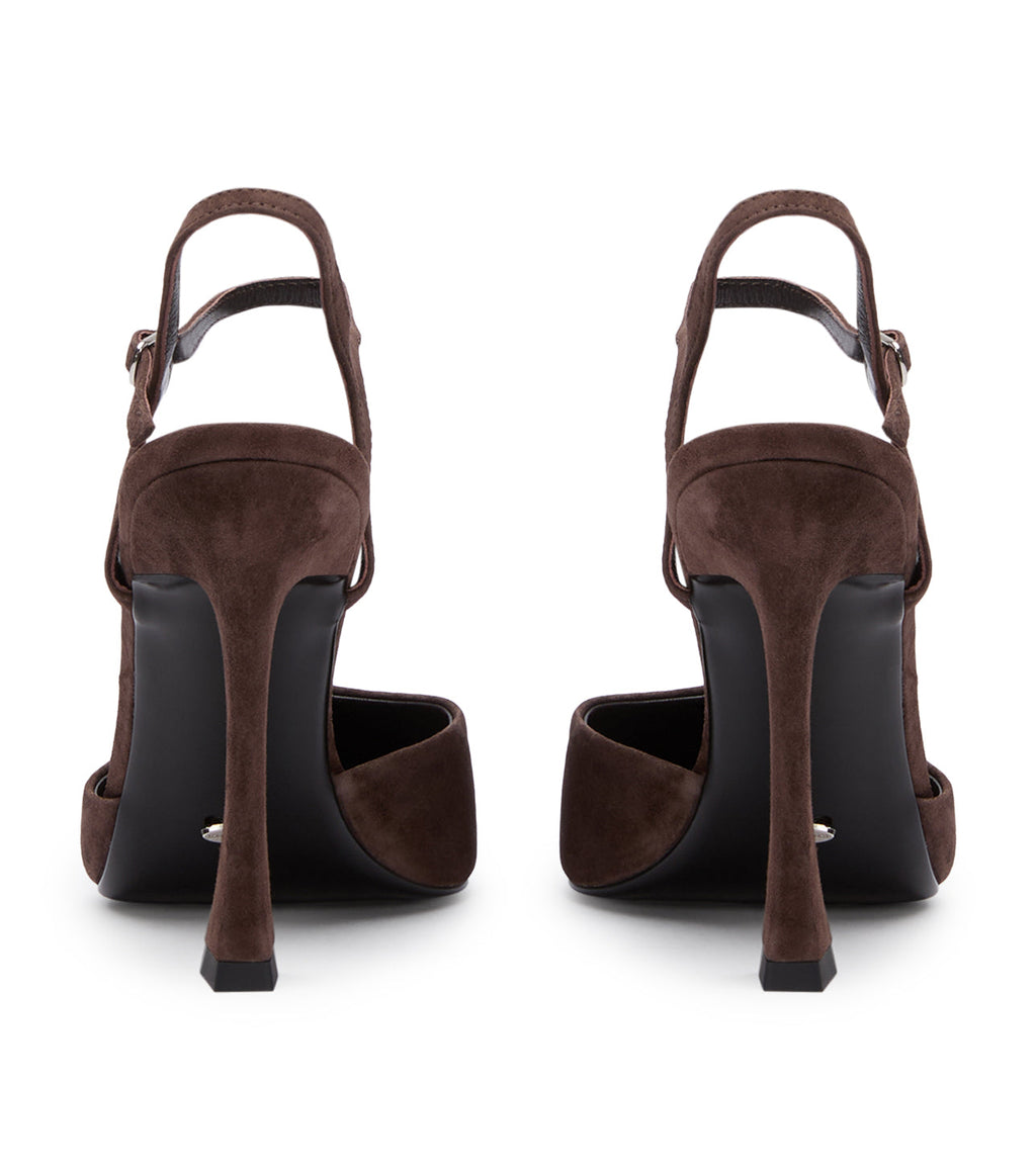 Spice Espresso Suede